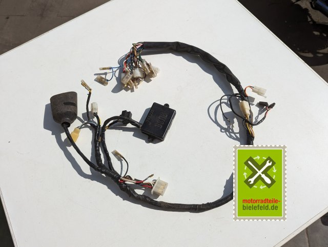 PXL_20240528_144257043